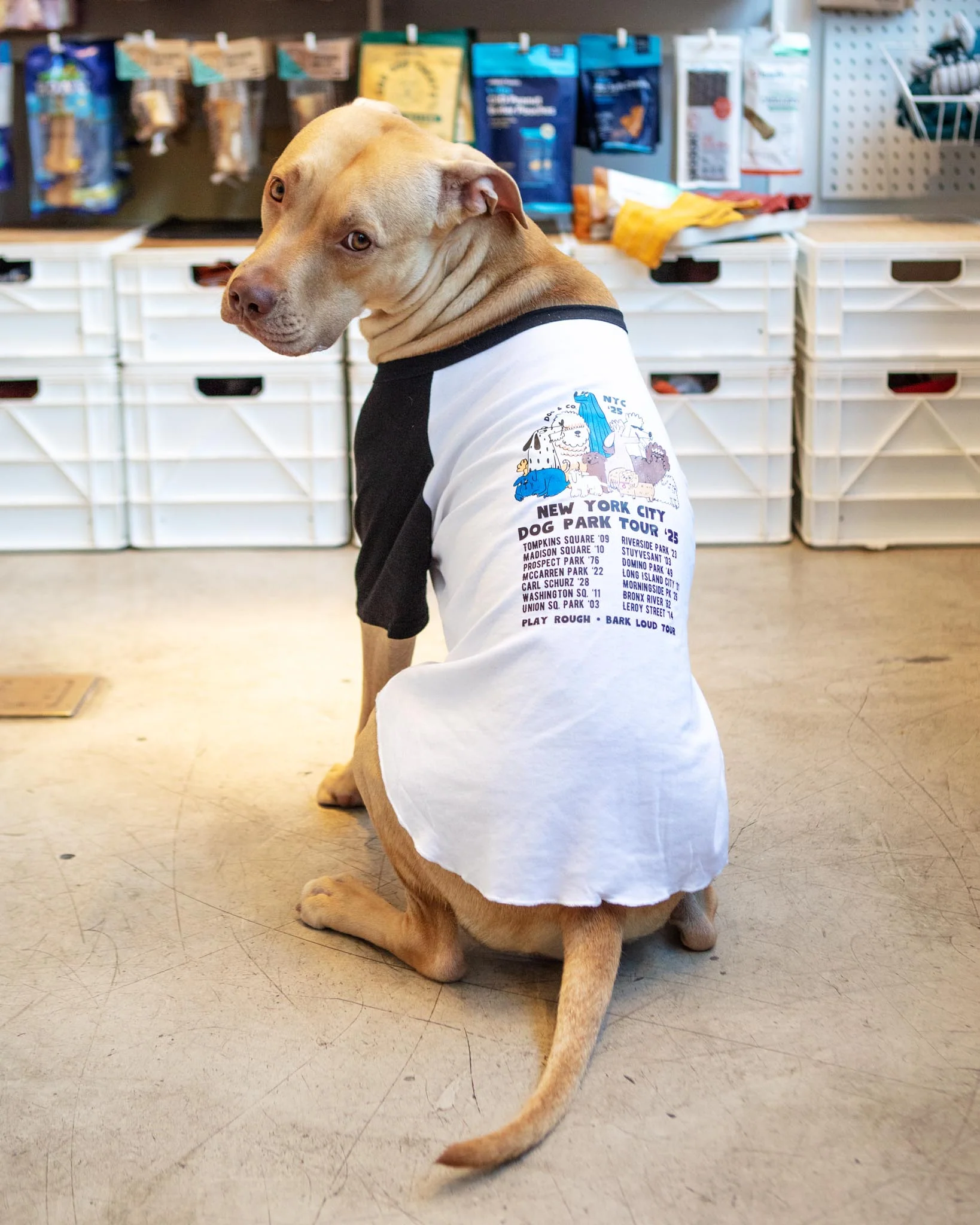 *NYC Dog Park Tour* Graphic Dog T-Shirt (FINAL SALE) - Image 2