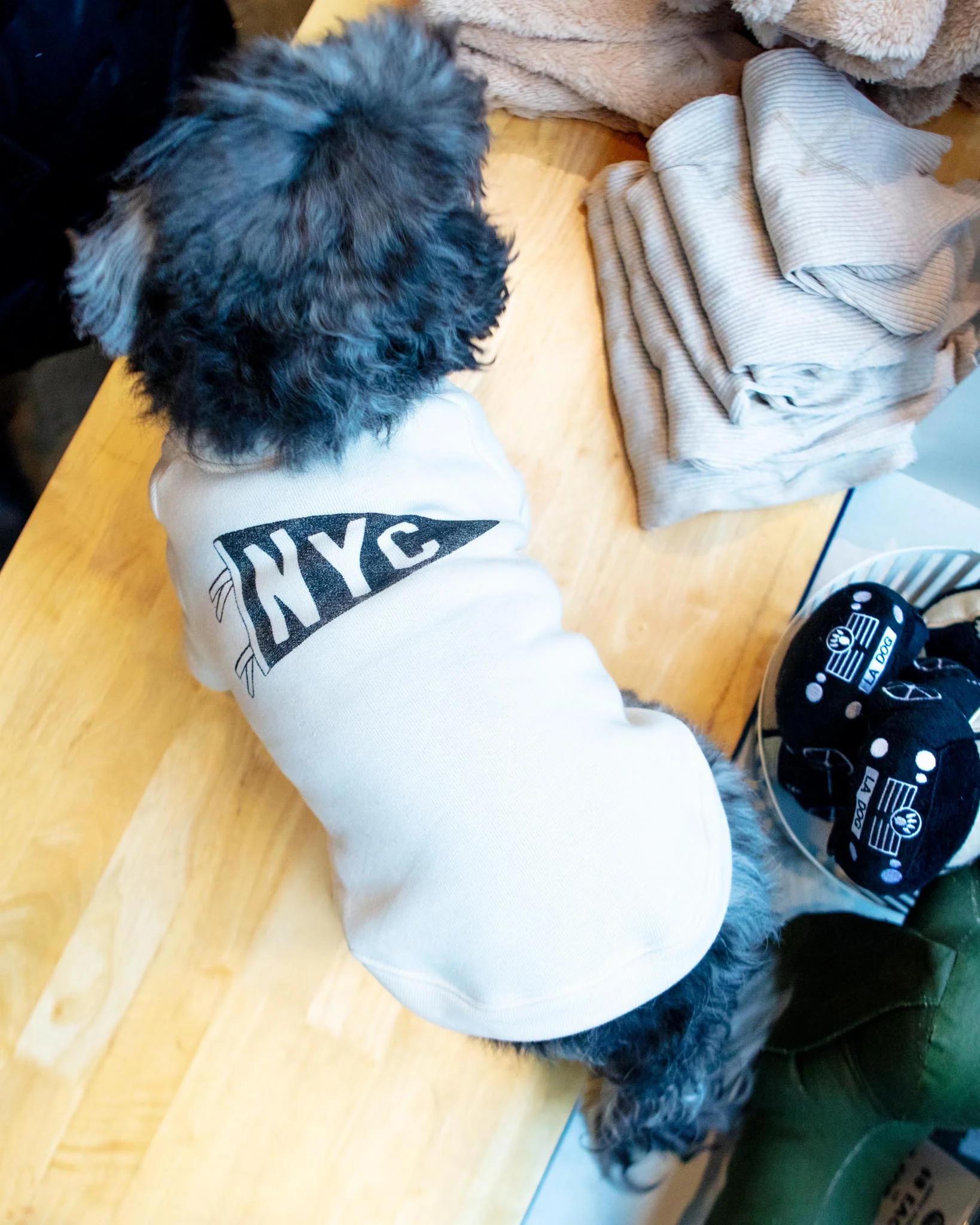 NYC Pennant Dog Sweatshirt - Image 3