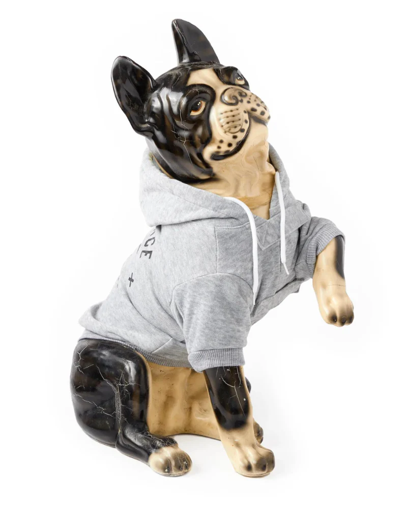 Obedience School Dropout Dog Hoodie (FINAL SALE) - Image 5