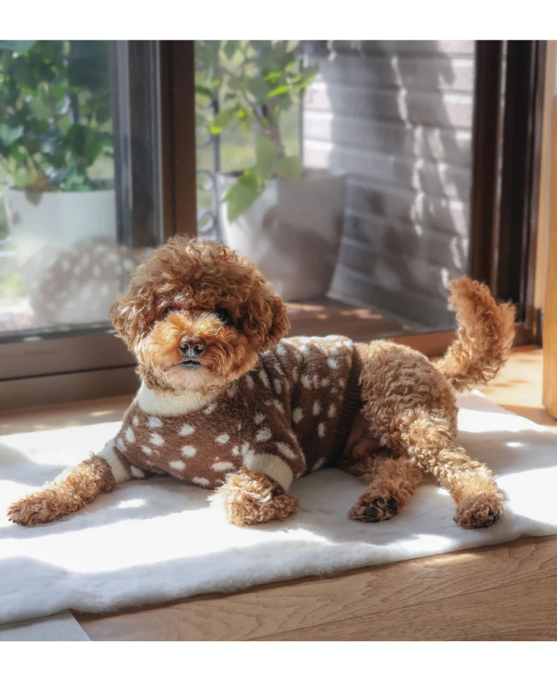 Oh Deer! Soft Cloud Dog Sweater - Image 7