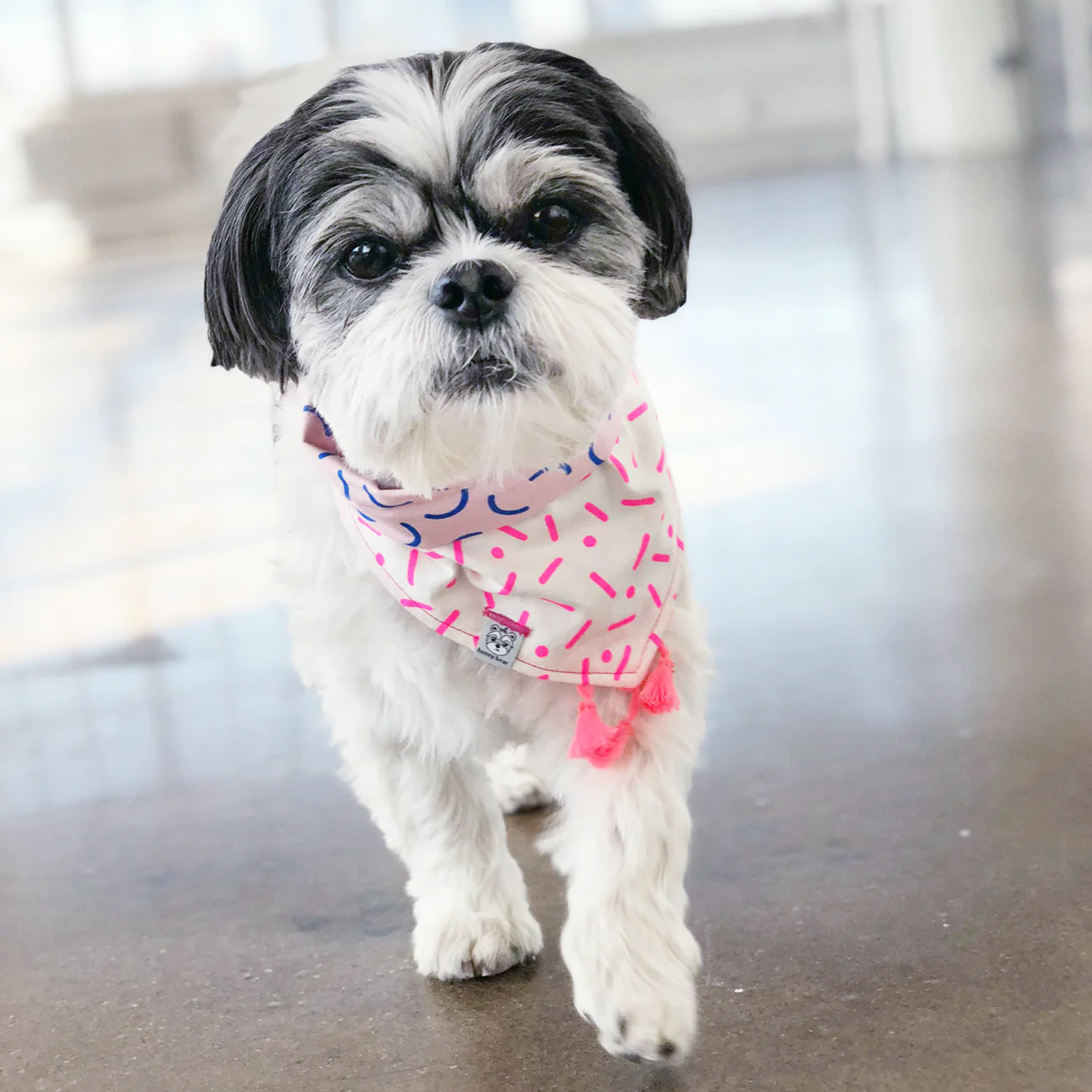 OH HONEY BEAR | Candy Bandana - Image 2