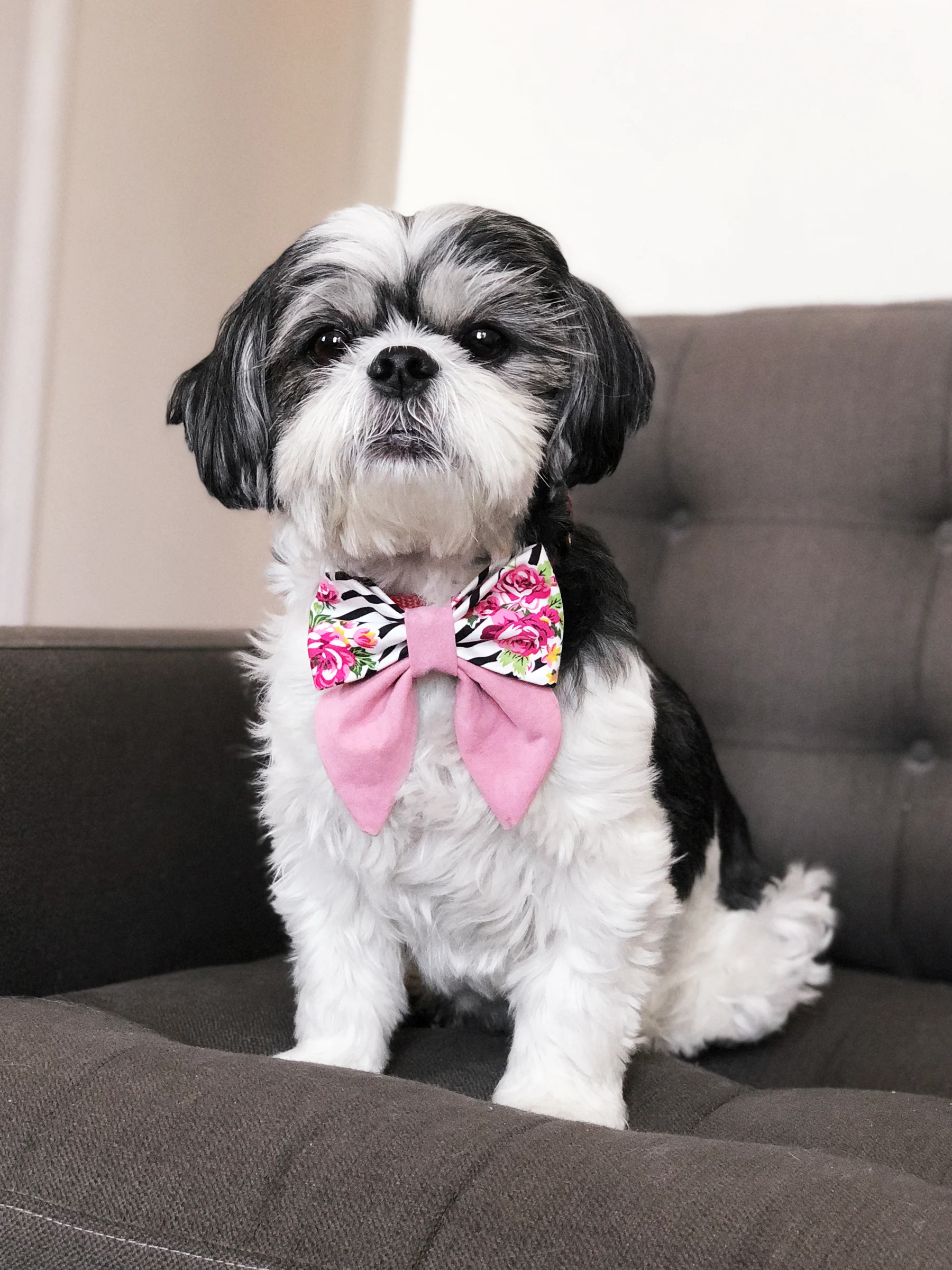 OH HONEY BEAR | Charlotte Sailor Bow - Image 2