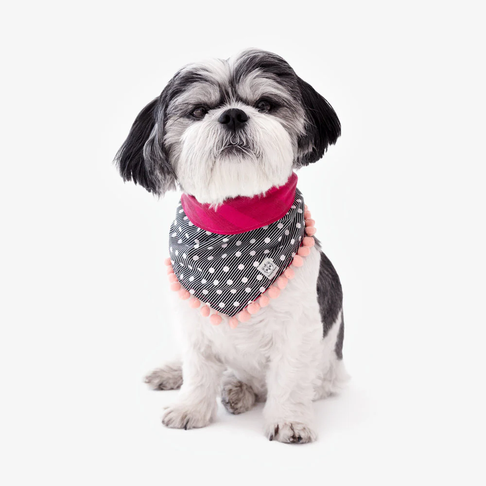 OH HONEY BEAR | Margot Pom Pom Bandana - Image 3