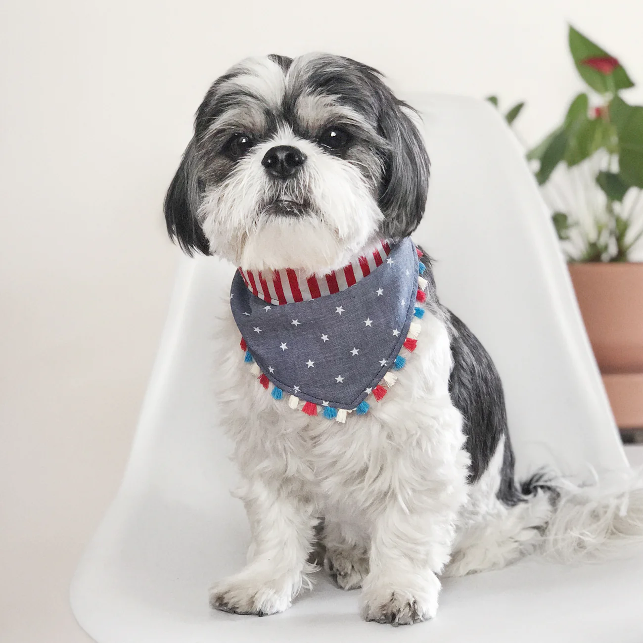 OH HONEY BEAR | Stars & Stripes Bandana - Image 2