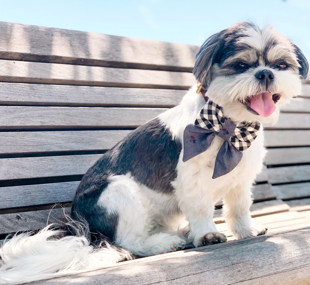 OH HONEY BEAR | Truman Sailor Bow