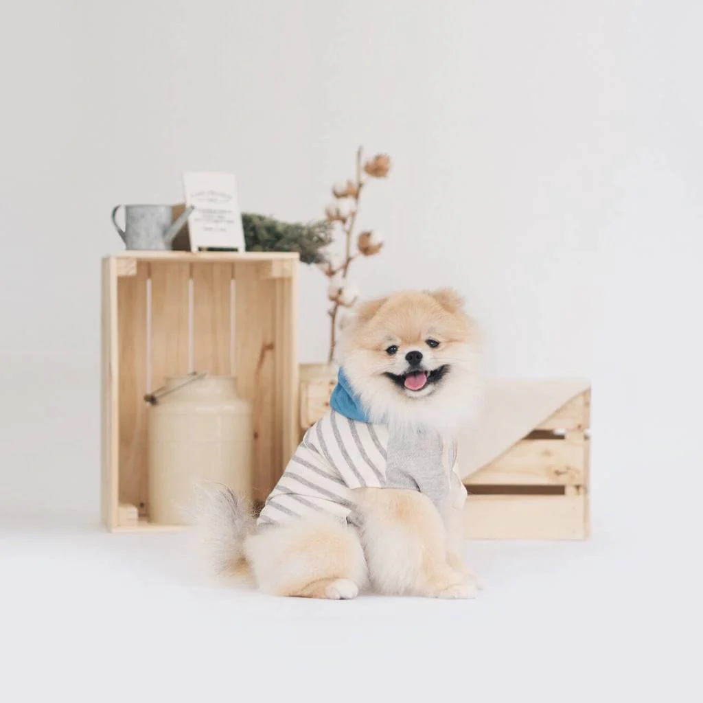 OH POP DOG | Grey Stripe Hoodie - Image 4