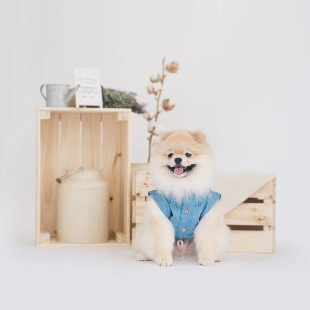 OH POP DOG | Pintuck Denim Shirt - Image 4