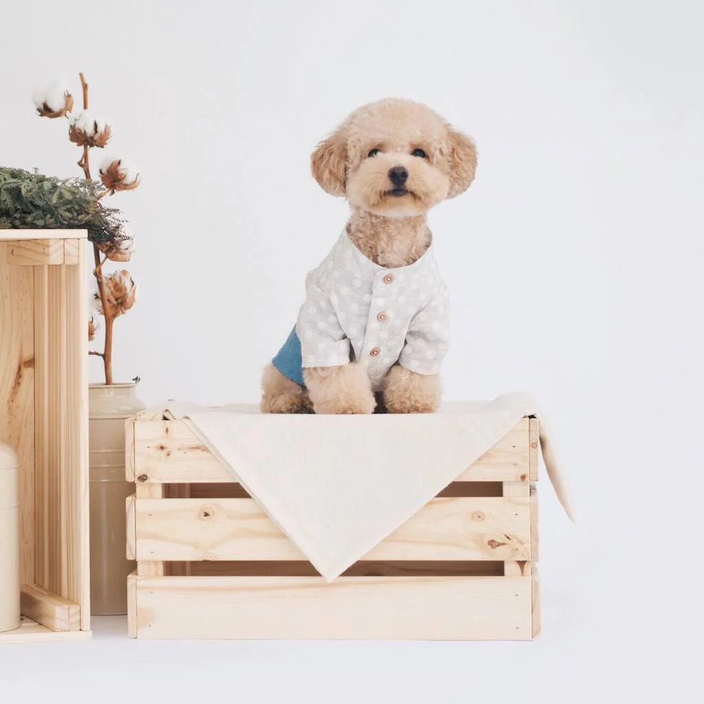 OH POP DOG | Polka Dot Denim Shirt - Image 4
