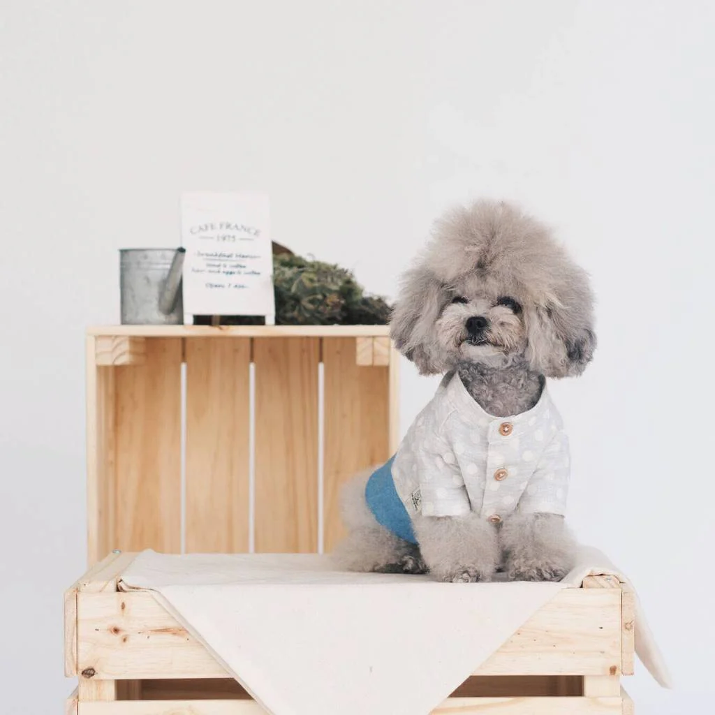 OH POP DOG | Polka Dot Denim Shirt - Image 5
