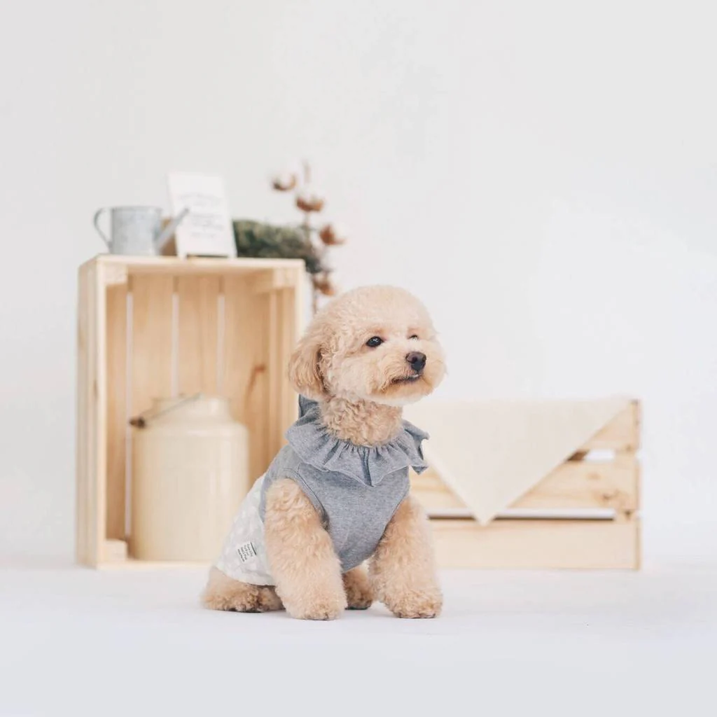 OH POP DOG | Ruffle Dress in Grey Polka Dot - Image 3