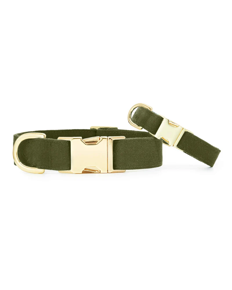 Olive Dog Collar - Image 3