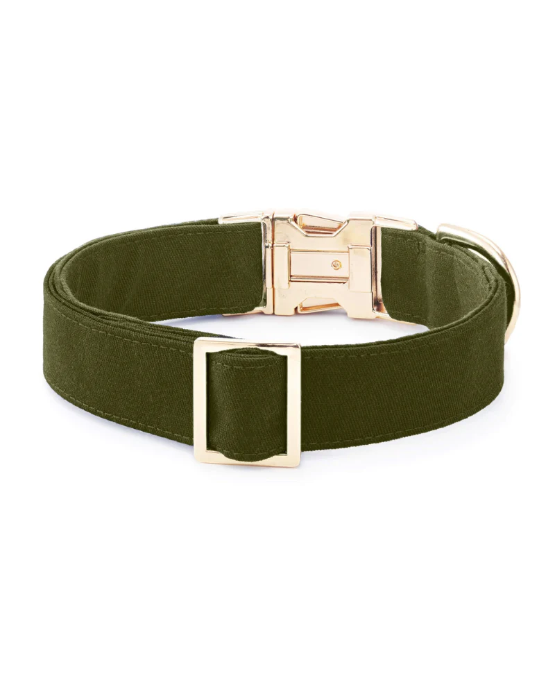 Olive Dog Collar - Image 4