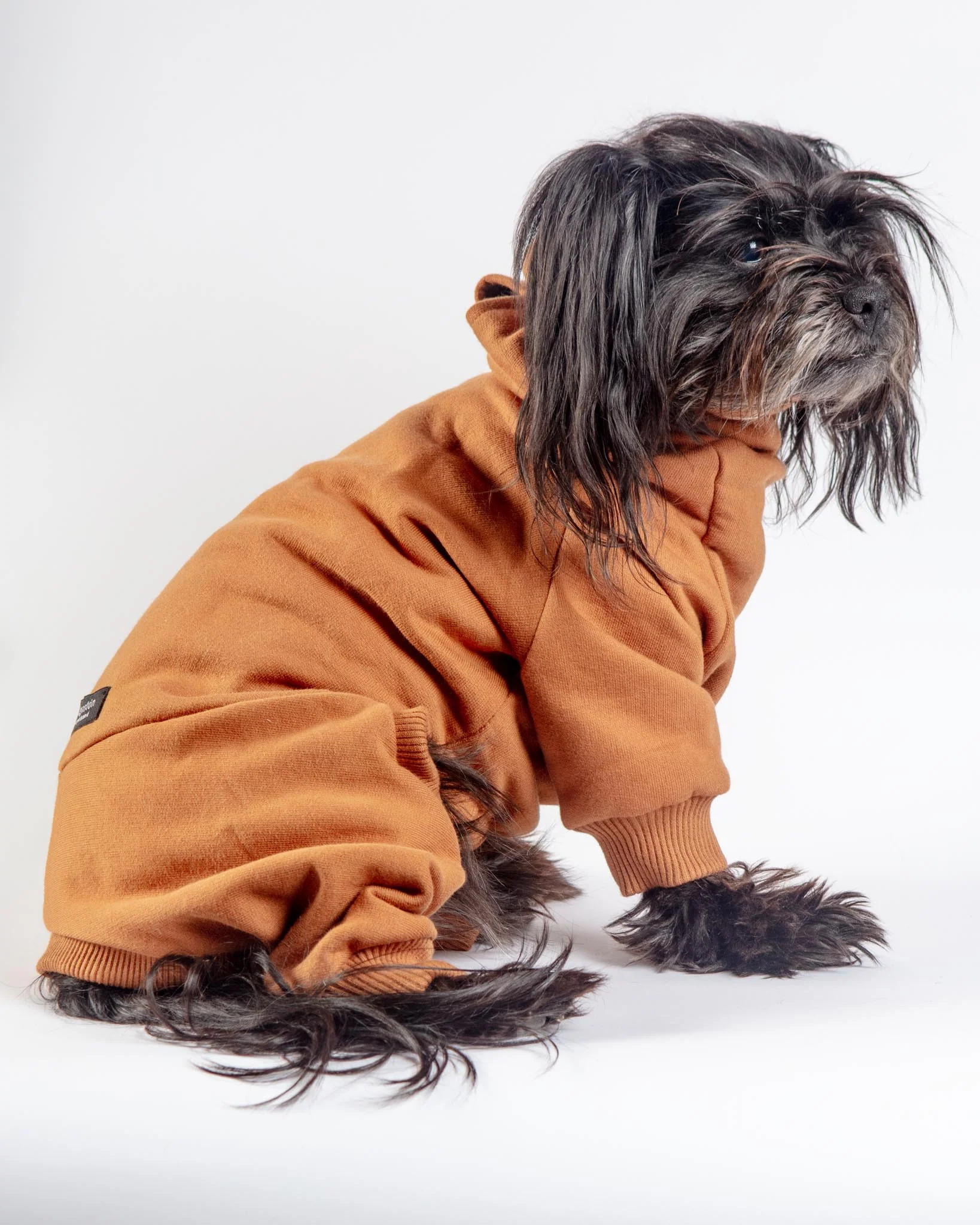 Sweatsuit Onesie for Dogs in Camel (FINAL SALE) - Image 2