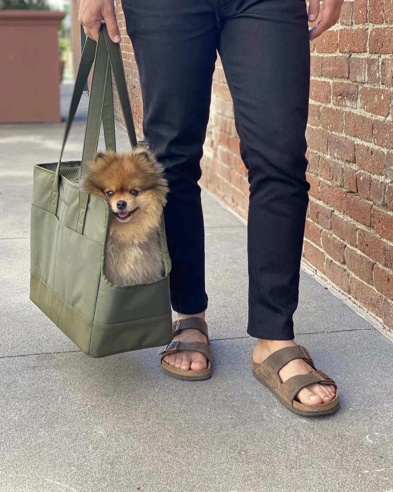 Open or Enclosed Pet Tote Bag in Olive Green - Image 6