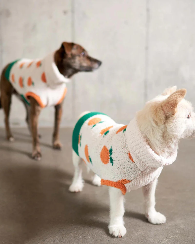 Orange Dog Sweater
