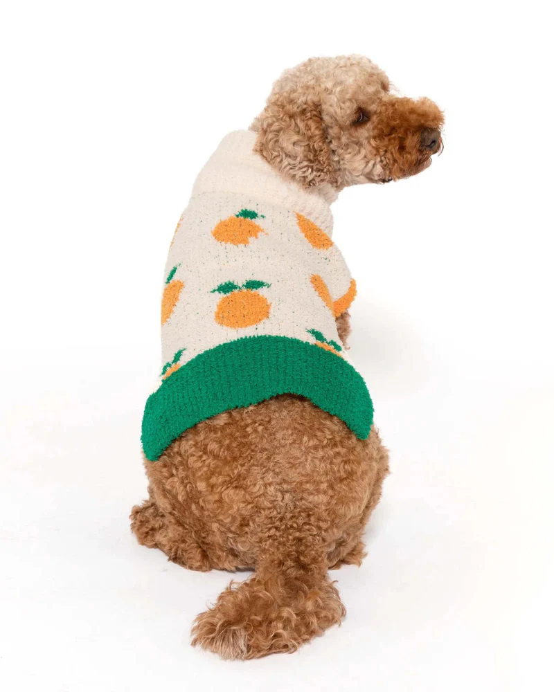 Orange Dog Sweater - Image 7