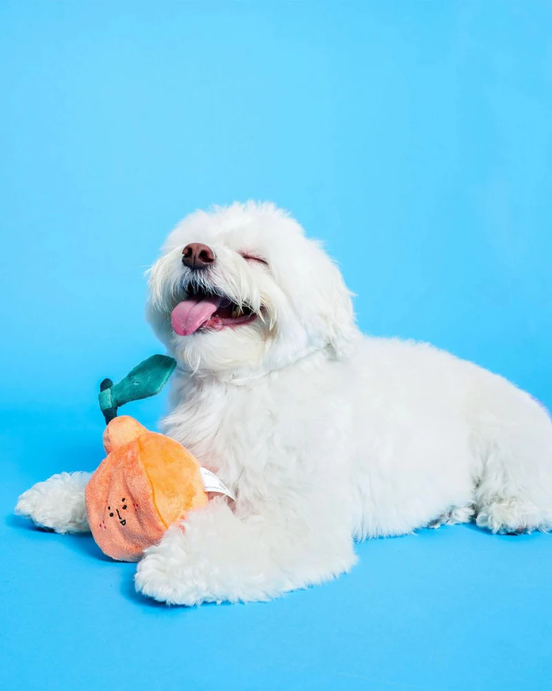 Orange Nosework Dog Toy - Image 5