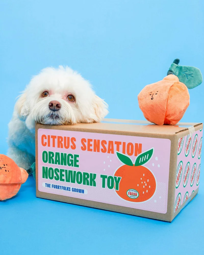 Orange Nosework Dog Toy - Image 6