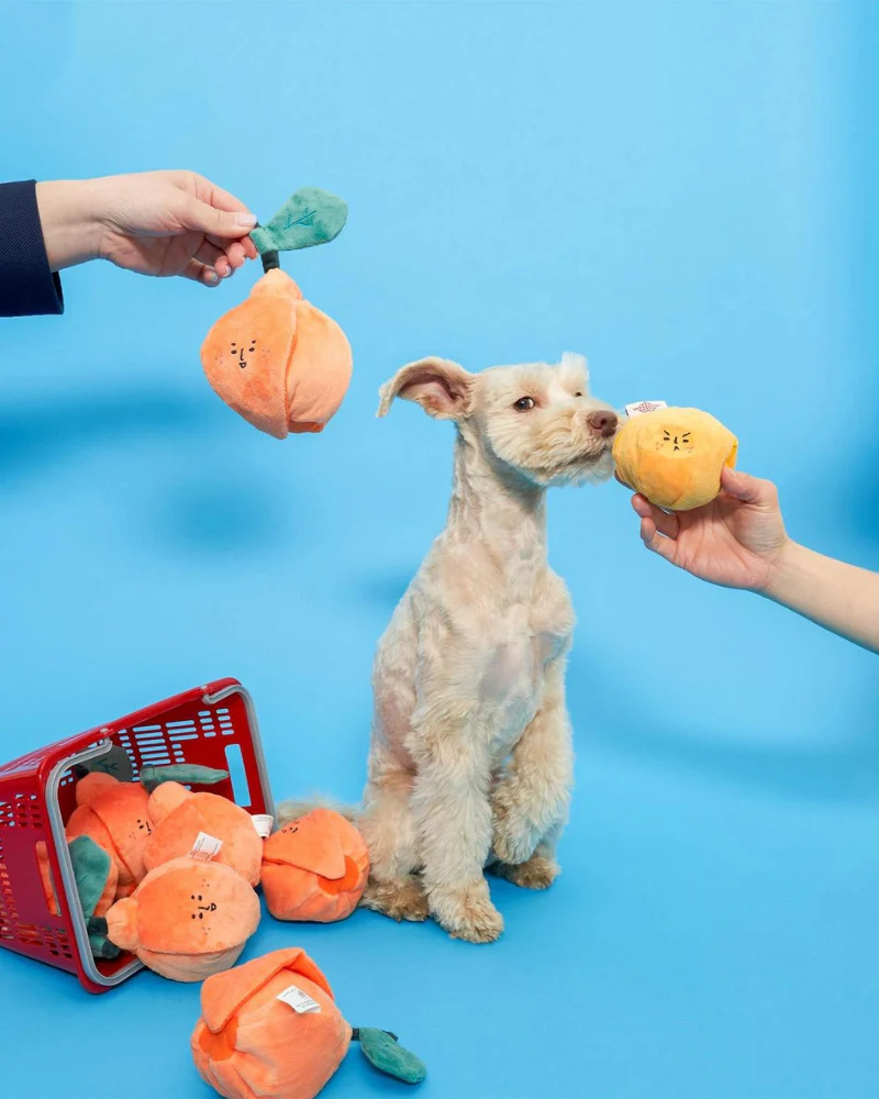 Orange Nosework Dog Toy - Image 8