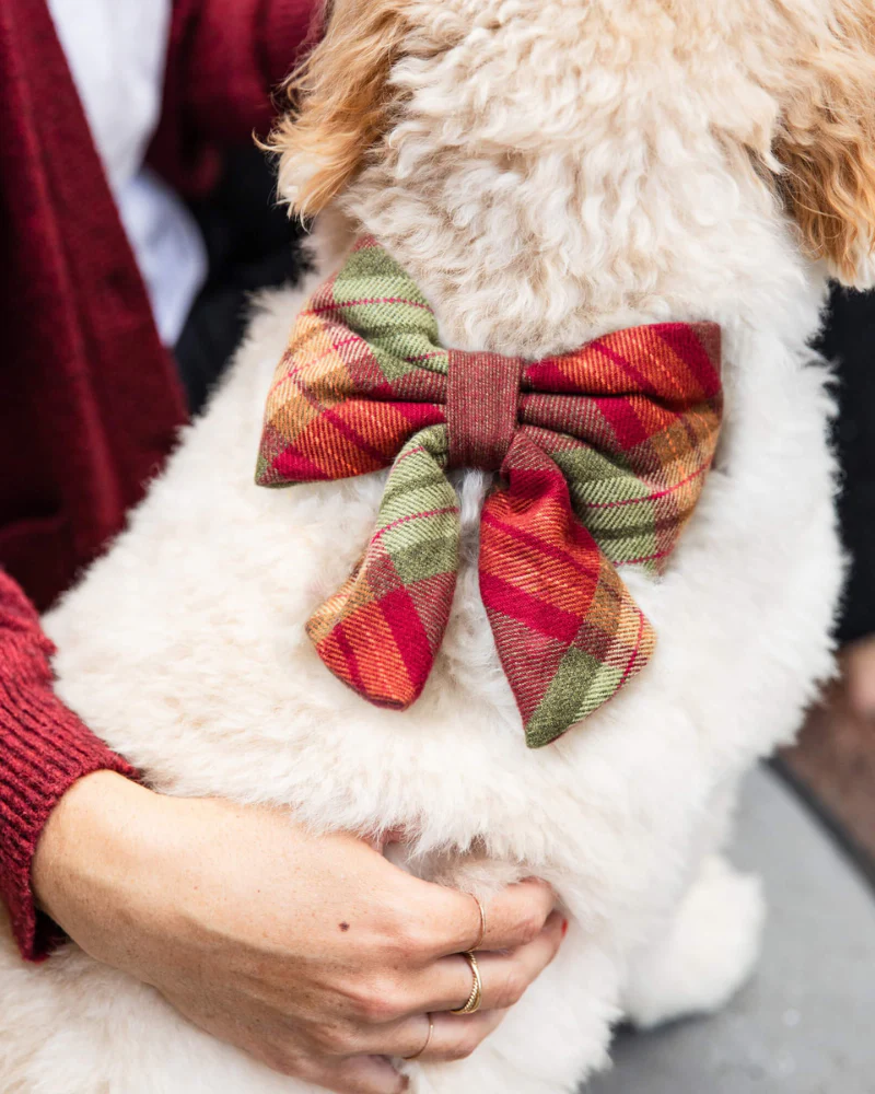 Orchard Plaid Flannel Lady Dog Bow Tie (Made in the USA)