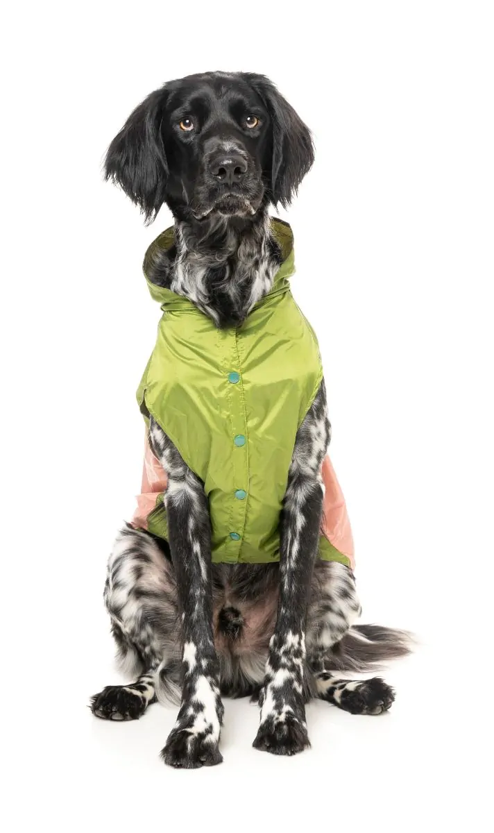 Ormond Raincoat in Olive + Pink or Purple + Mint (FINAL SALE) - Image 14