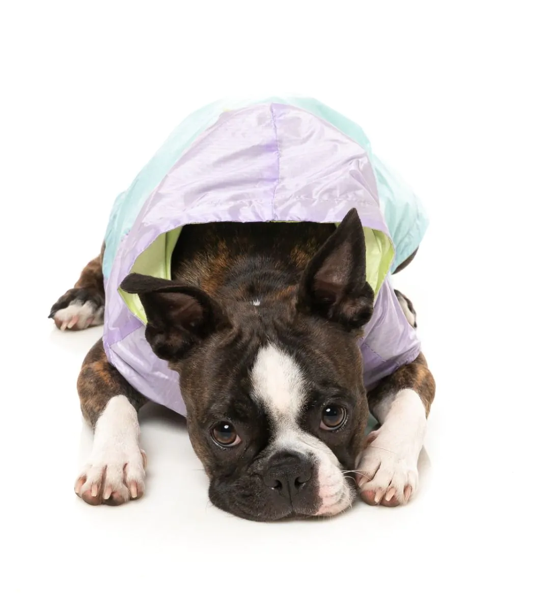 Ormond Raincoat in Olive + Pink or Purple + Mint (FINAL SALE) - Image 18