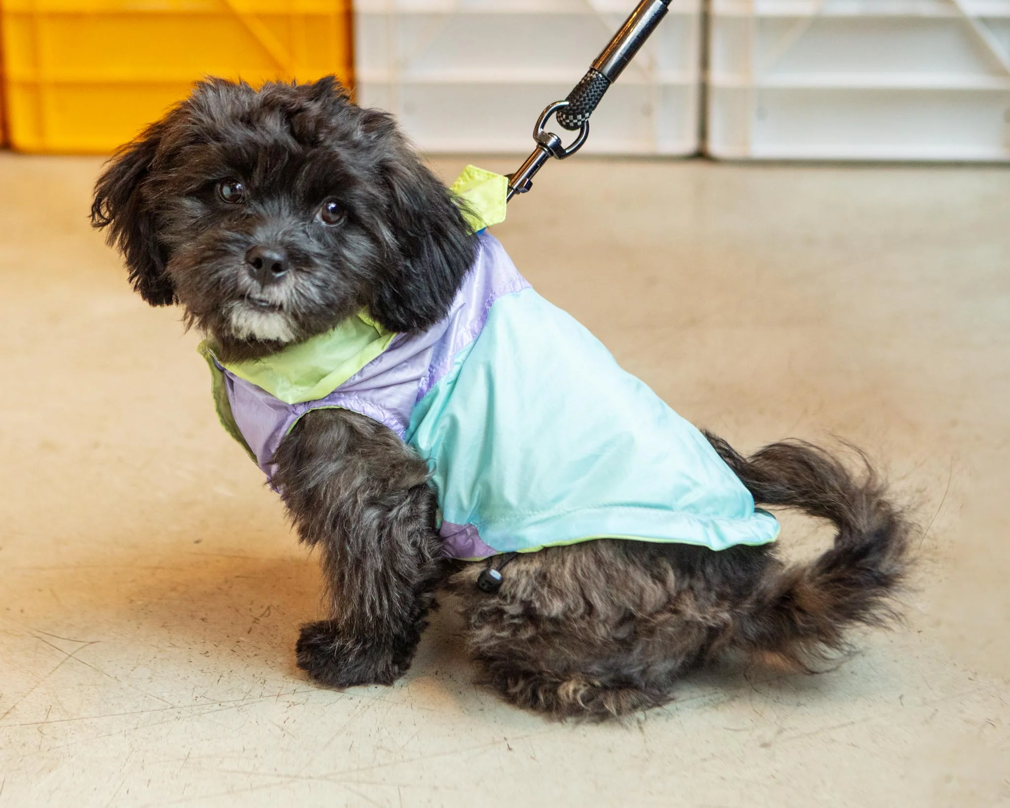 Ormond Raincoat in Olive + Pink or Purple + Mint (FINAL SALE) - Image 7