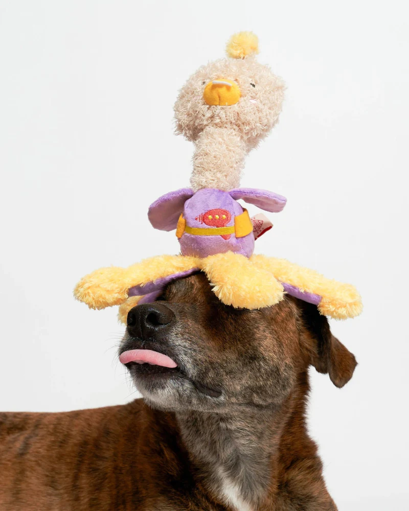 Ostrikraken Nosework Dog Toy - Image 5