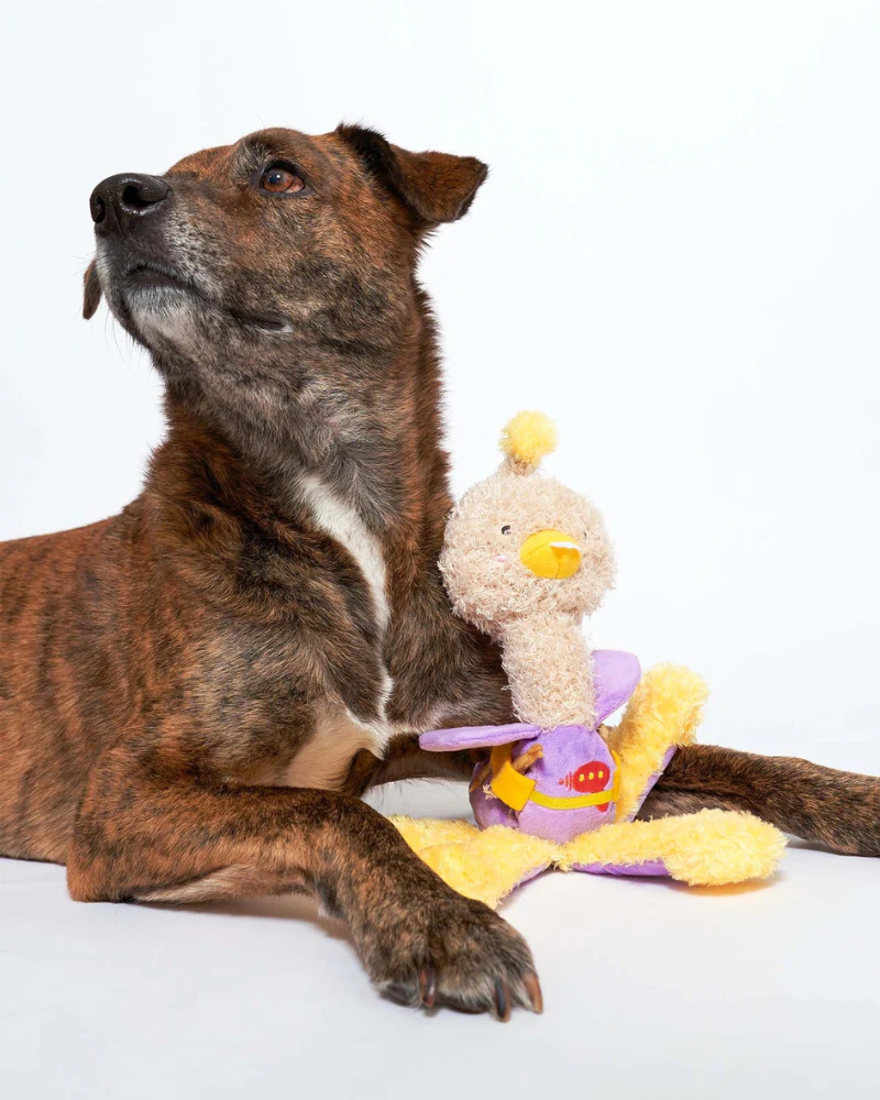 Ostrikraken Nosework Dog Toy - Image 6