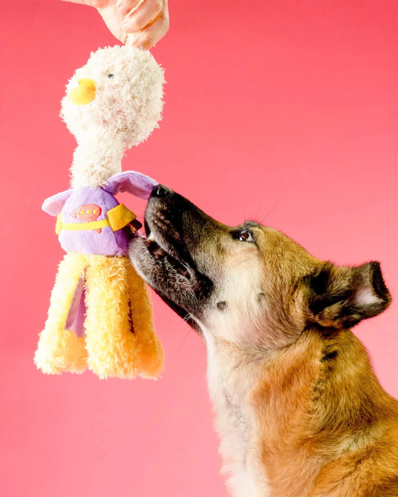 Ostrikraken Nosework Dog Toy - Image 7