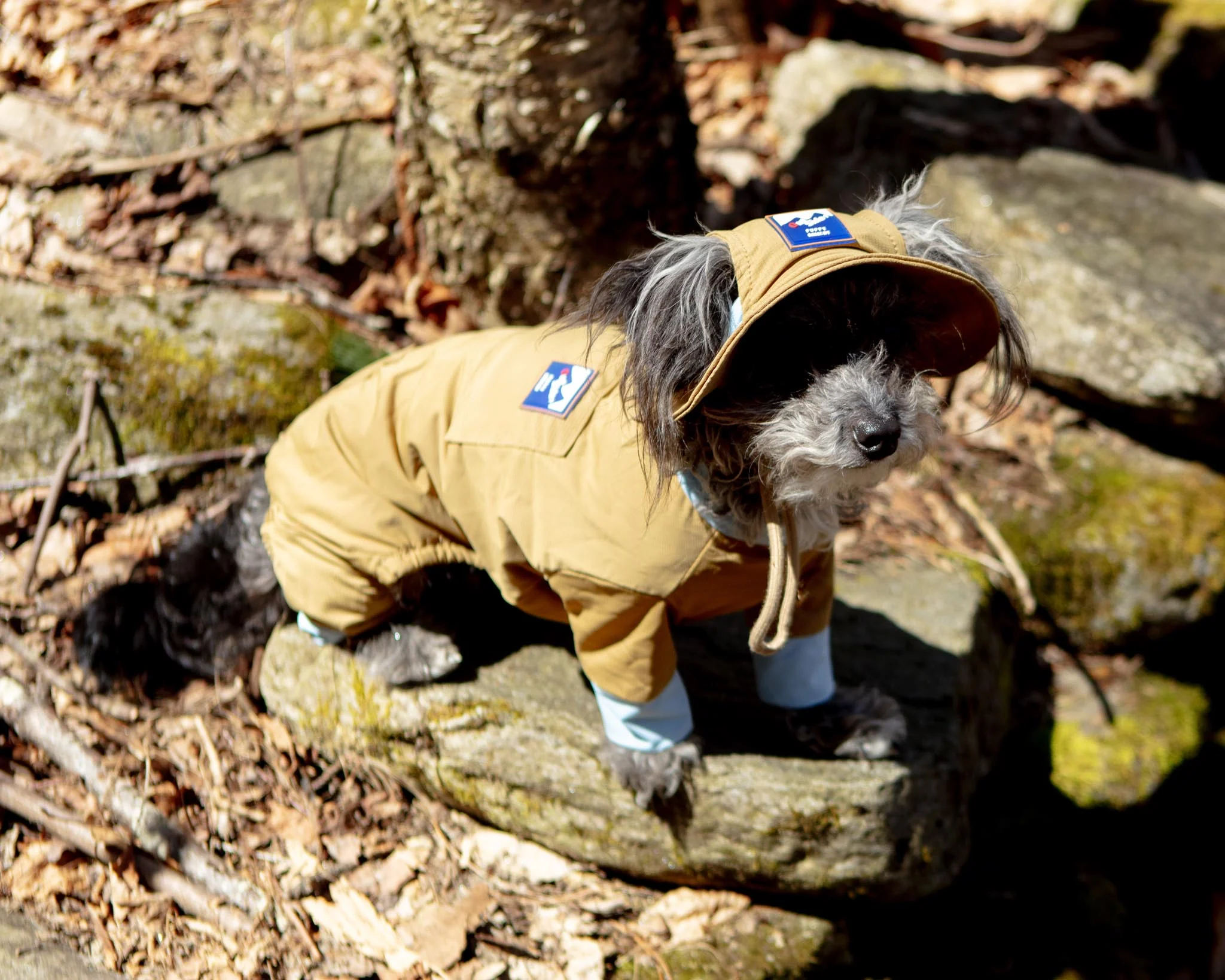 Outside+ Cooling Dog Jumpsuit - Image 5