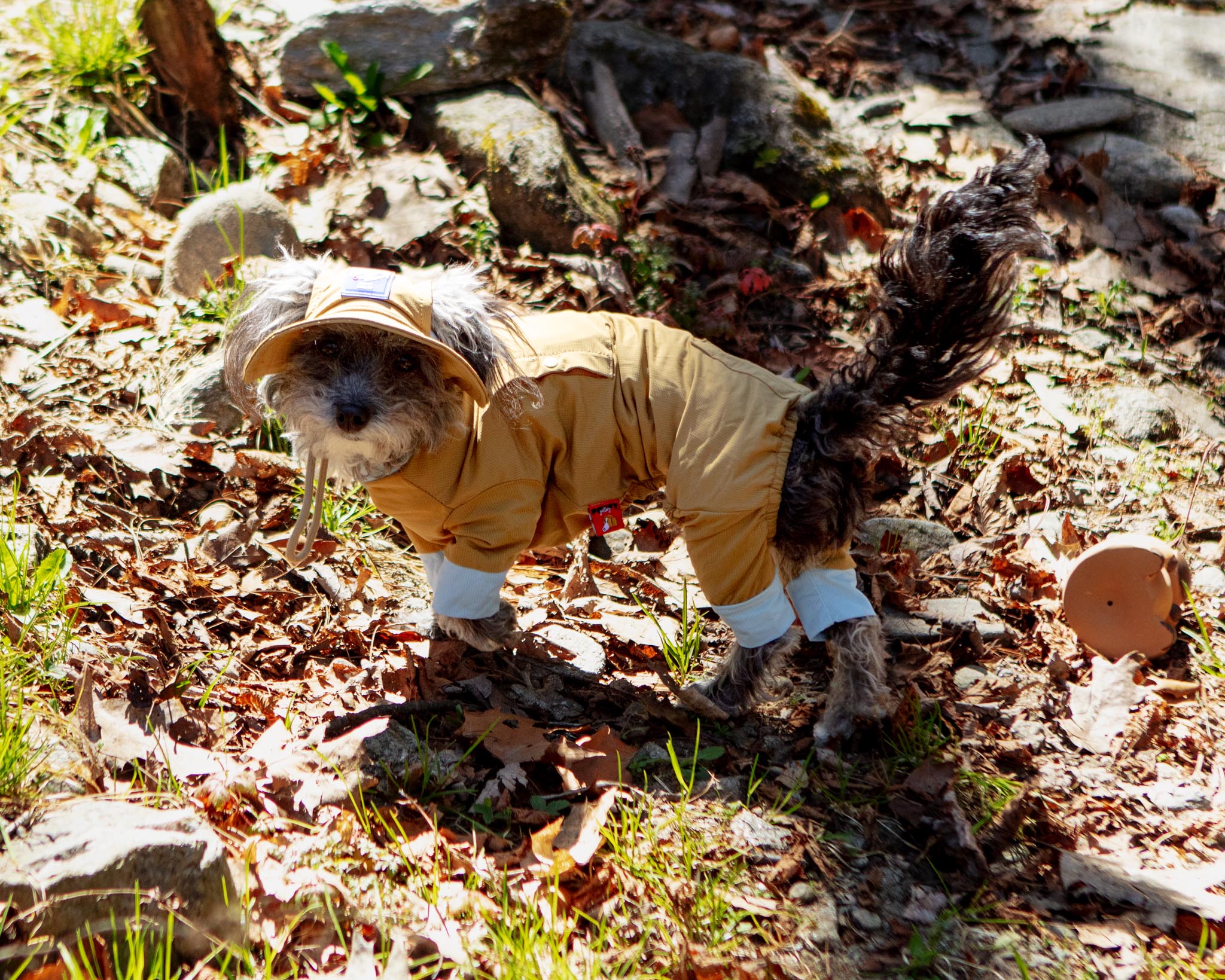 Outside+ Cooling Dog Jumpsuit - Image 6