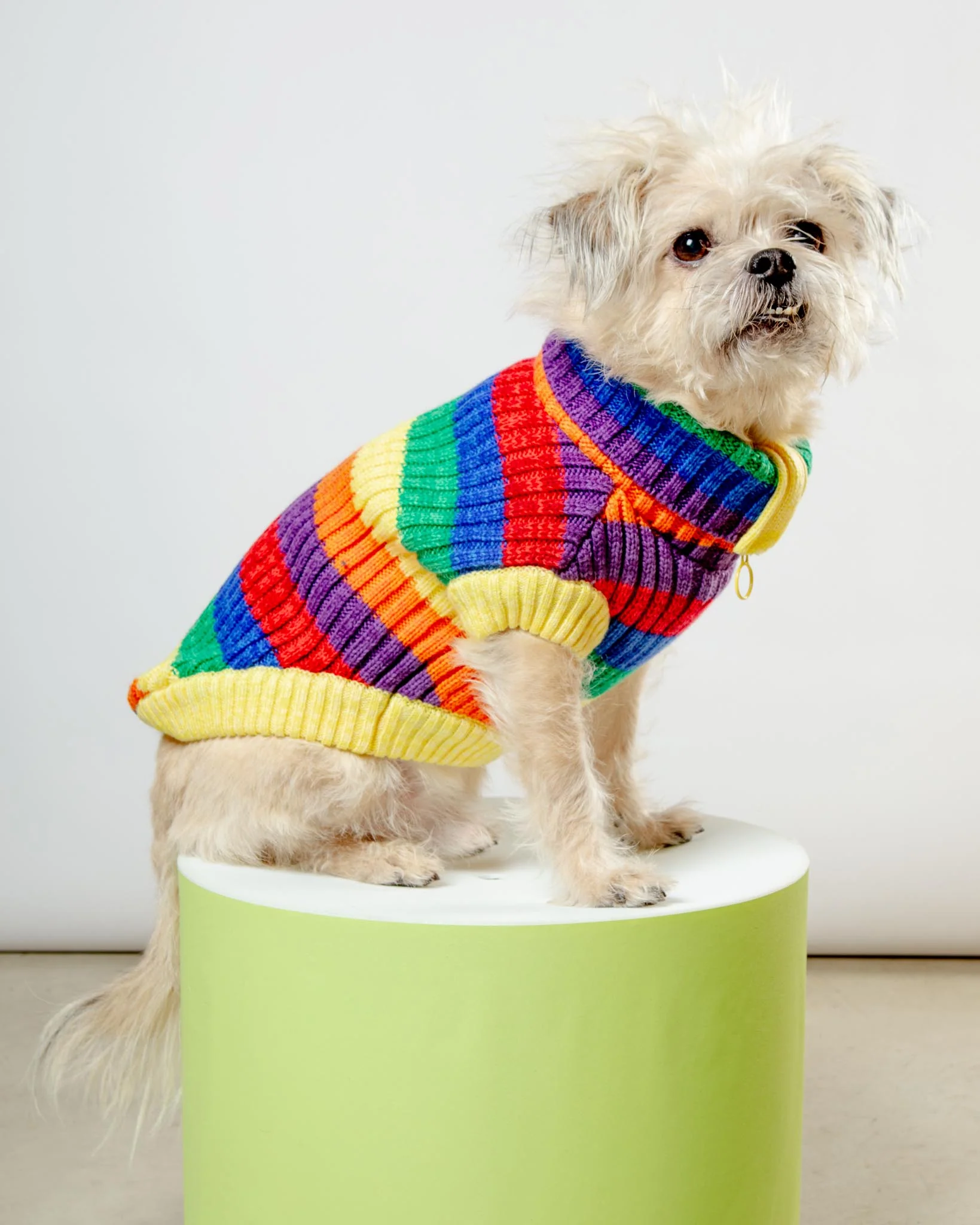 Over The Rainbow Dog Sweater (FINAL SALE)