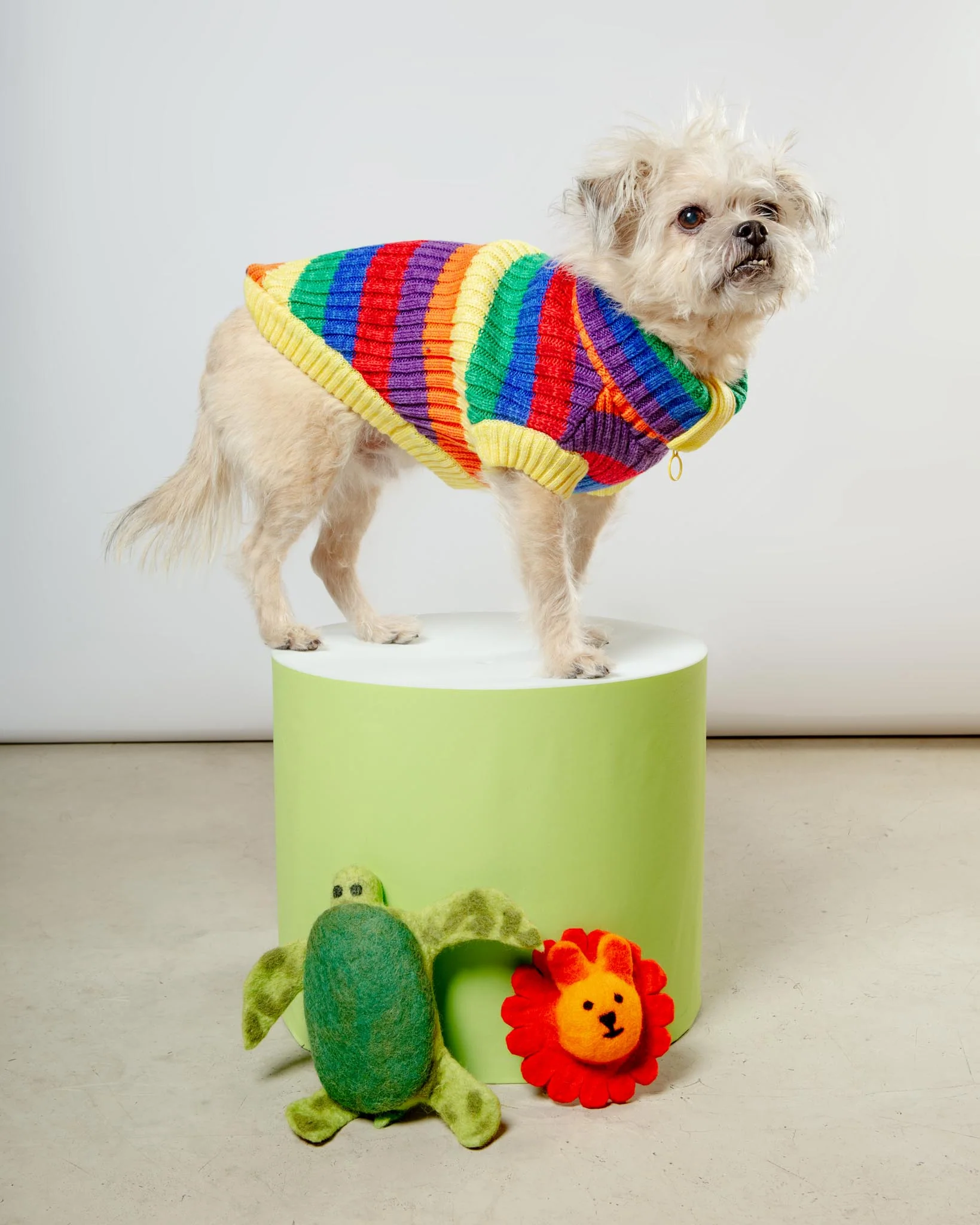 Over The Rainbow Dog Sweater (FINAL SALE) - Image 4