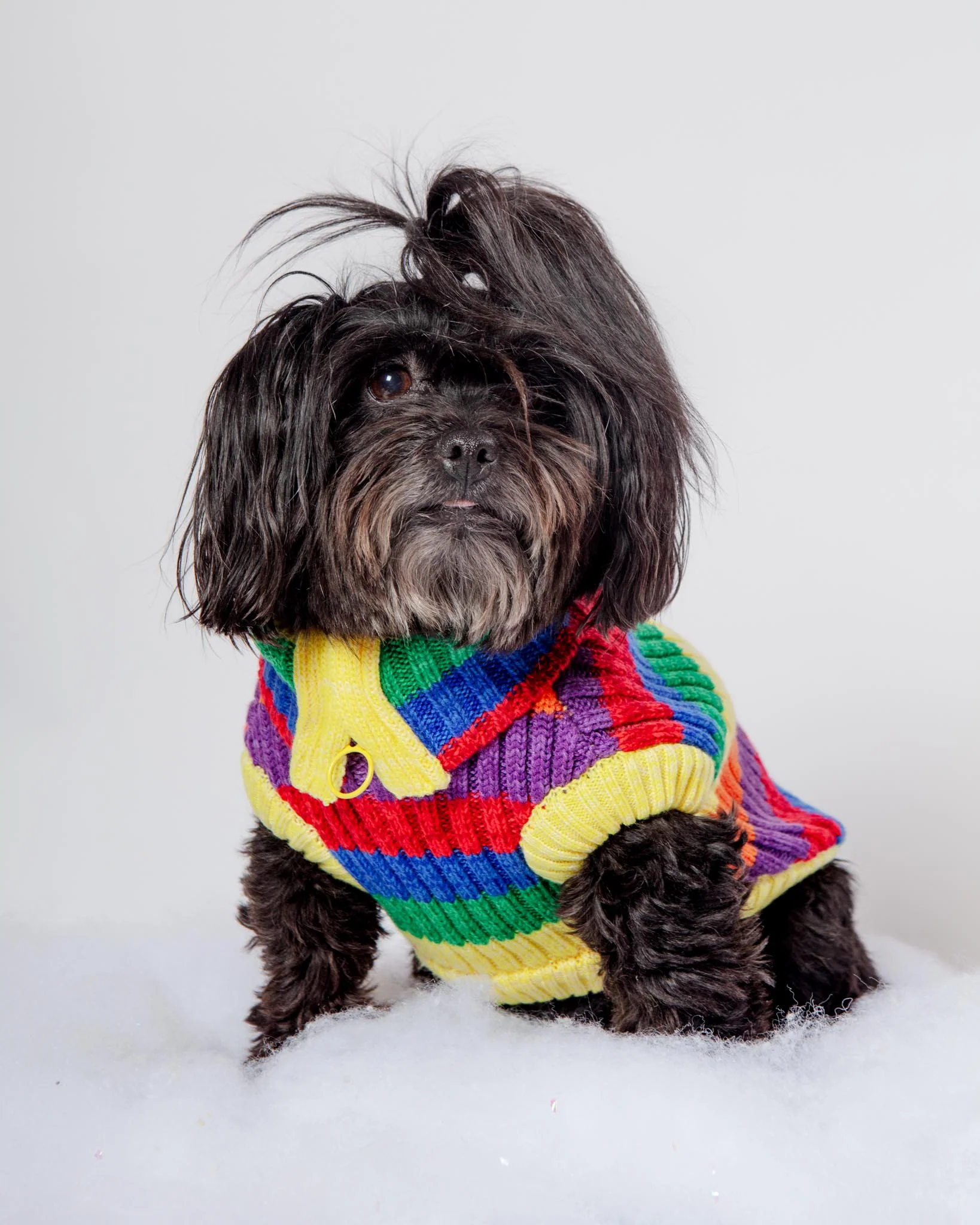 Over The Rainbow Dog Sweater (FINAL SALE) - Image 5