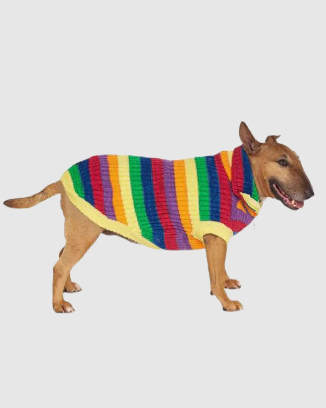 Over The Rainbow Dog Sweater (FINAL SALE) - Image 6
