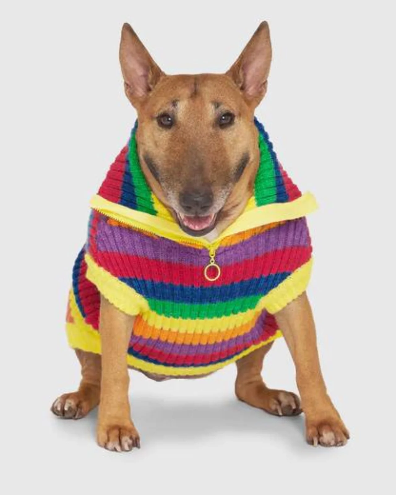 Over The Rainbow Dog Sweater (FINAL SALE) - Image 7