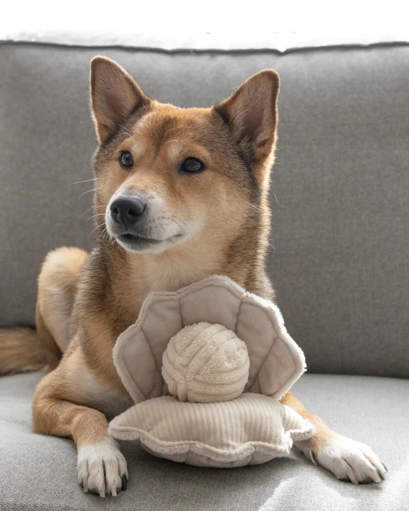 Oyster Pop Squeaker Interactive Dog Toy (FINAL SALE) - Image 2