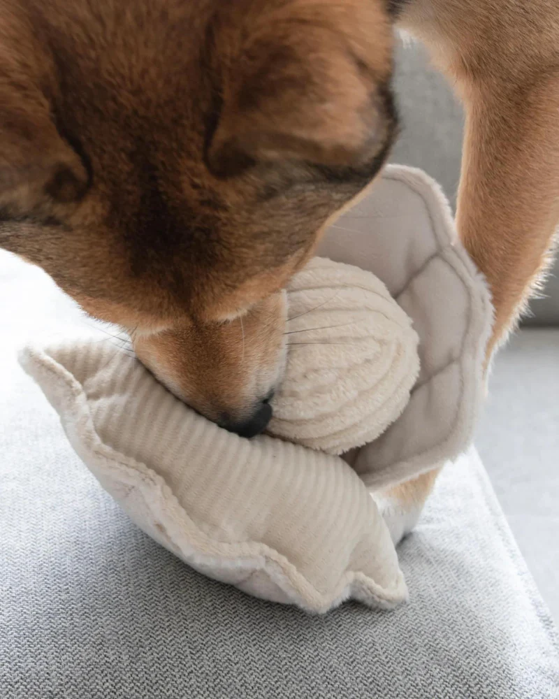 Oyster Pop Squeaker Interactive Dog Toy (FINAL SALE) - Image 3