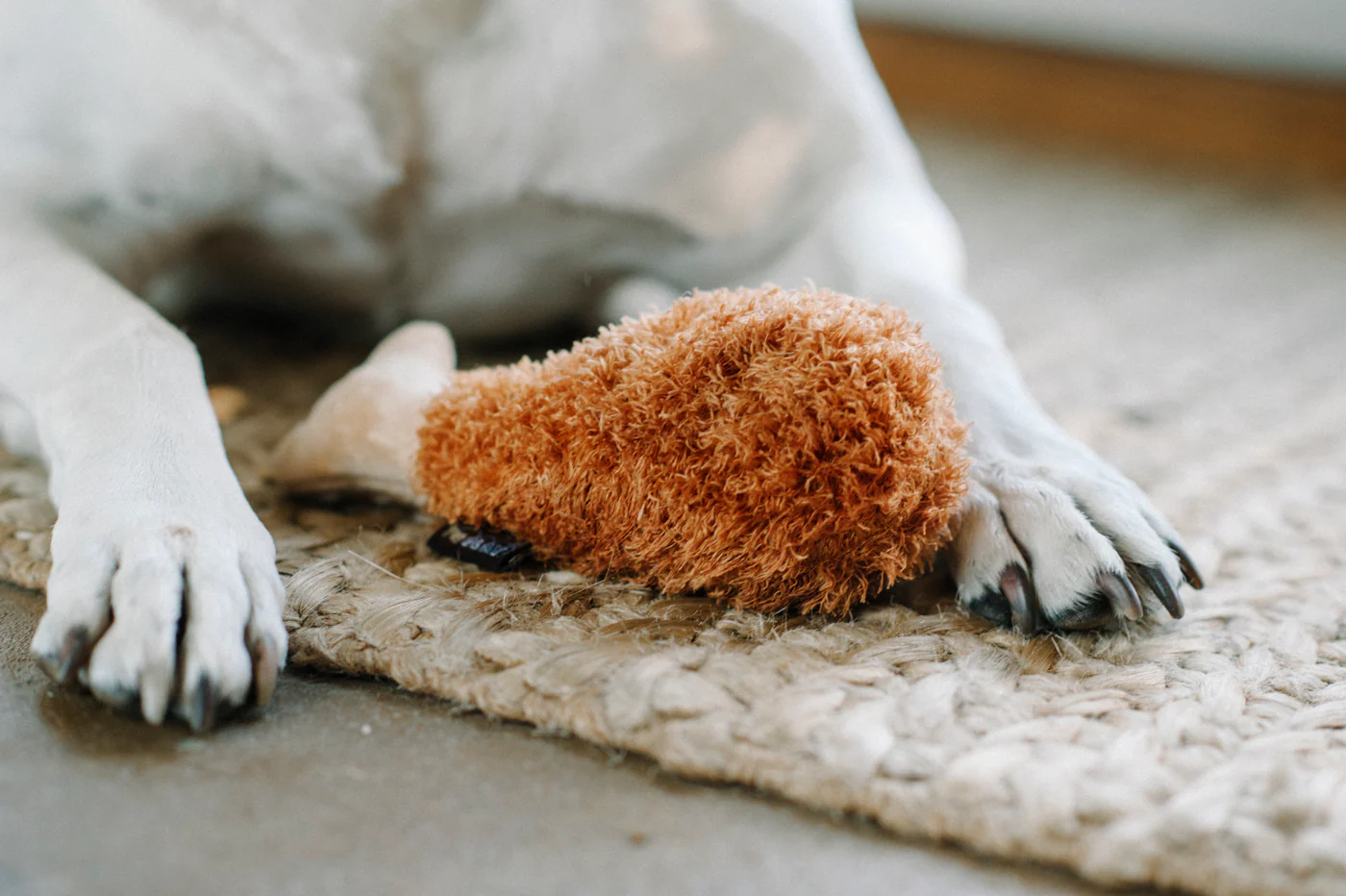 Fried Chicken Dog Plush Toy - Image 2