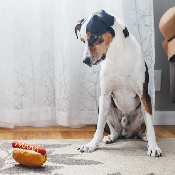 American Classic Hot Diggy Dog Plush Toy - Image 3
