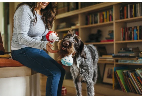 P.L.A.Y. | Barking Beakers Toy - Image 2