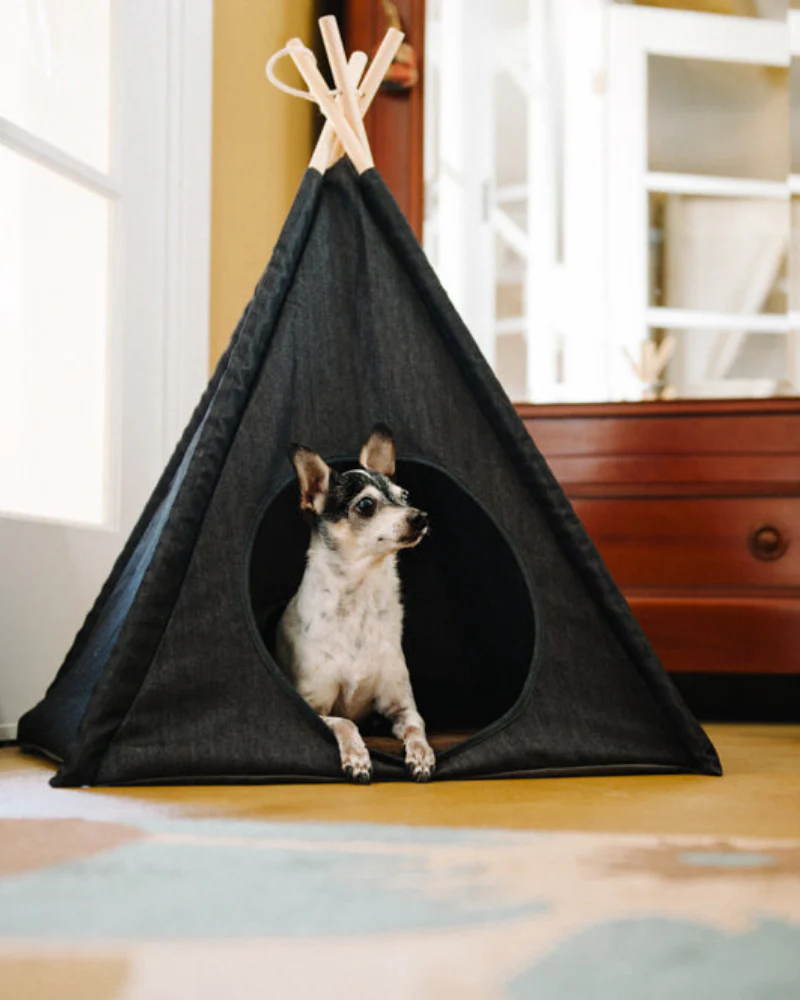 Denim Pet Teepee (Direct-Ship)
