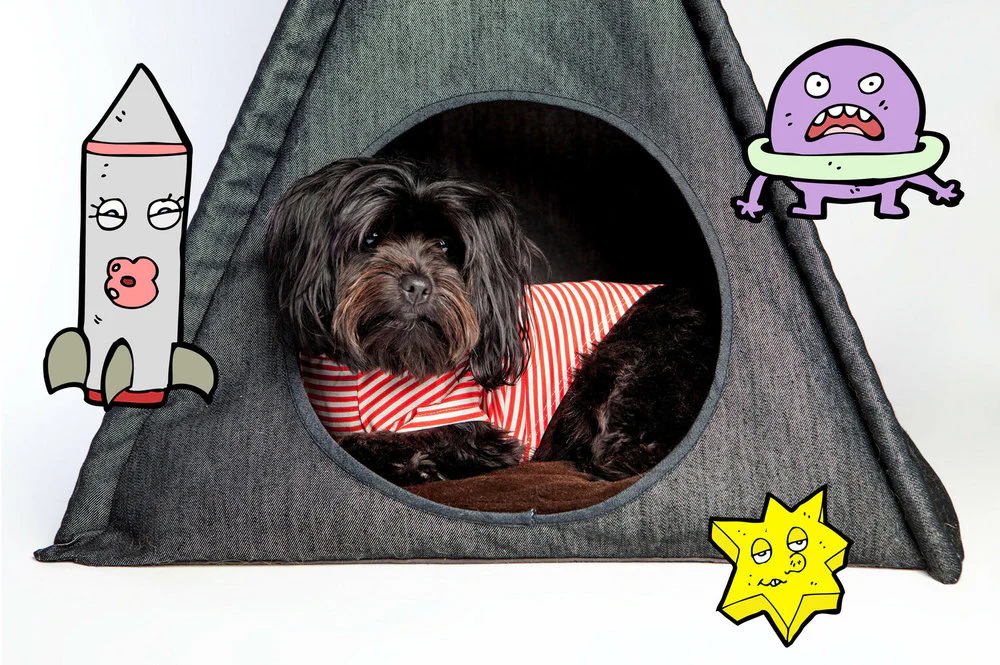 Denim Pet Teepee (Direct-Ship) - Image 4