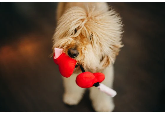 P.L.A.Y. | Fur Ever Hearts Plush Toy - Image 2