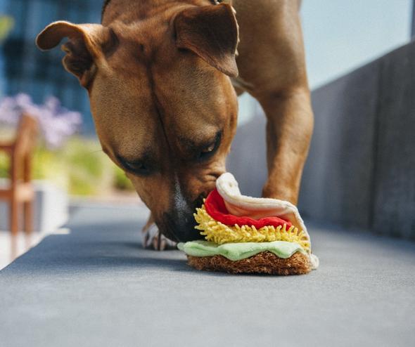 Taco Tuesday Crinkle & Squeaky Dog Toy - Image 8