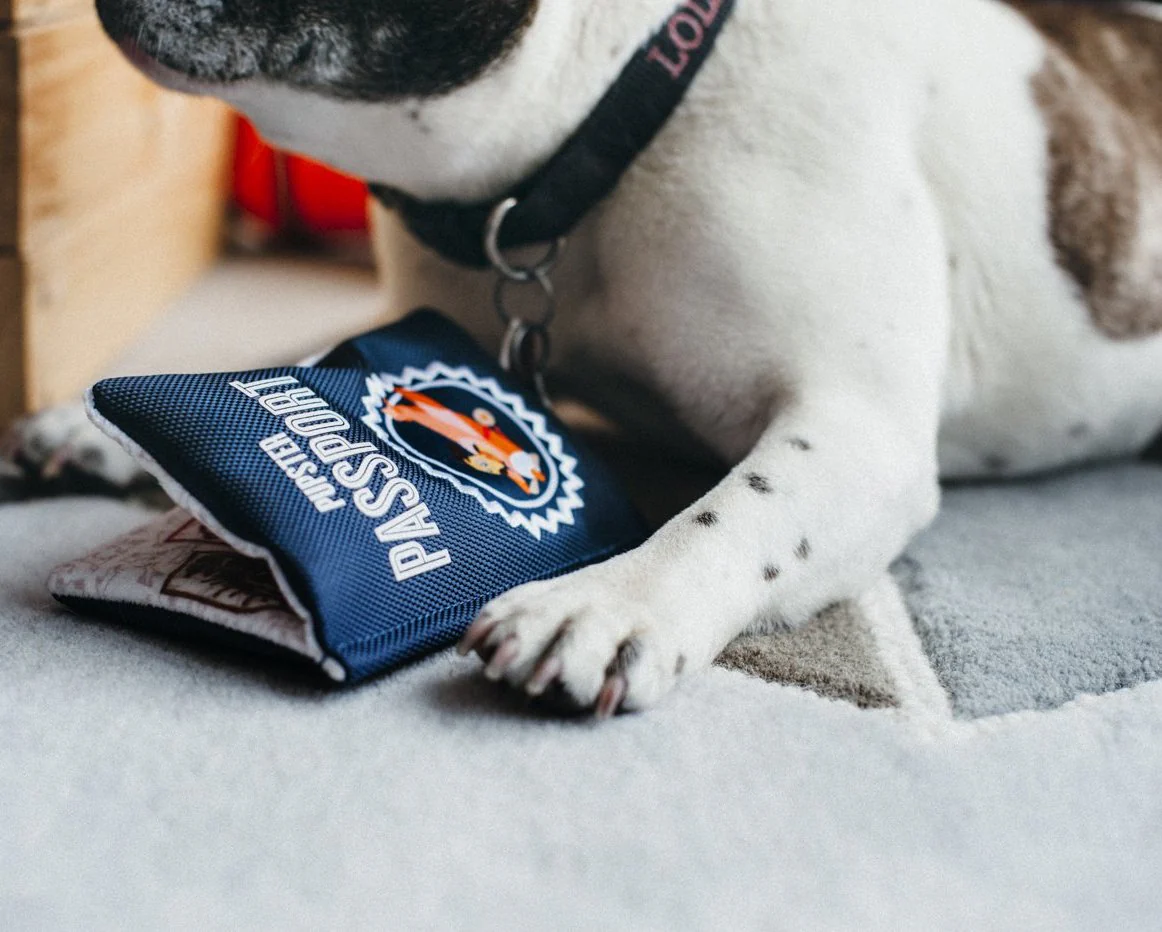 Pupster Passport Crinkle Dog Toy - Image 6