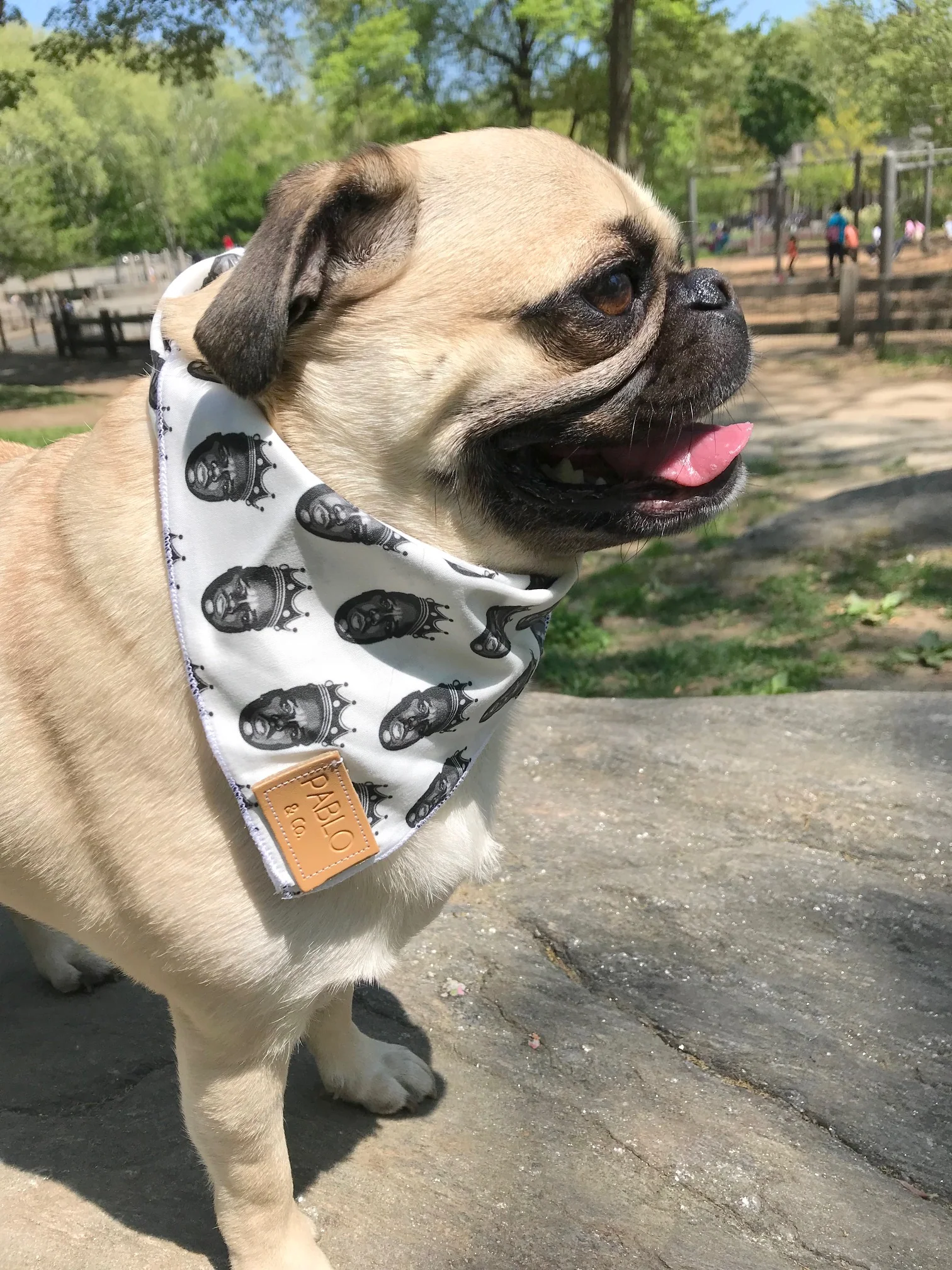 PABLO & CO. | Biggie Bandana - Image 2