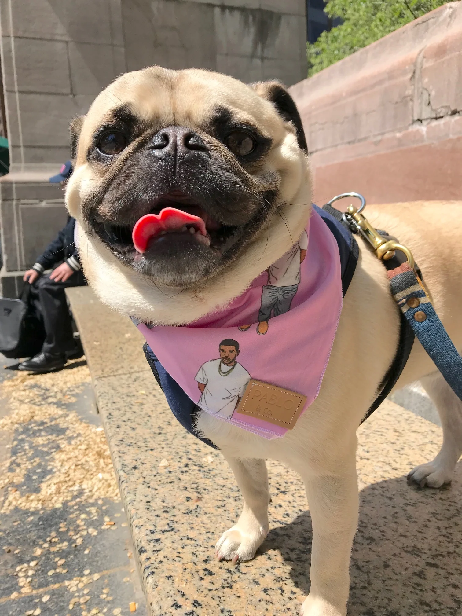 PABLO & CO. | Hotline Bling Bandana - Image 3