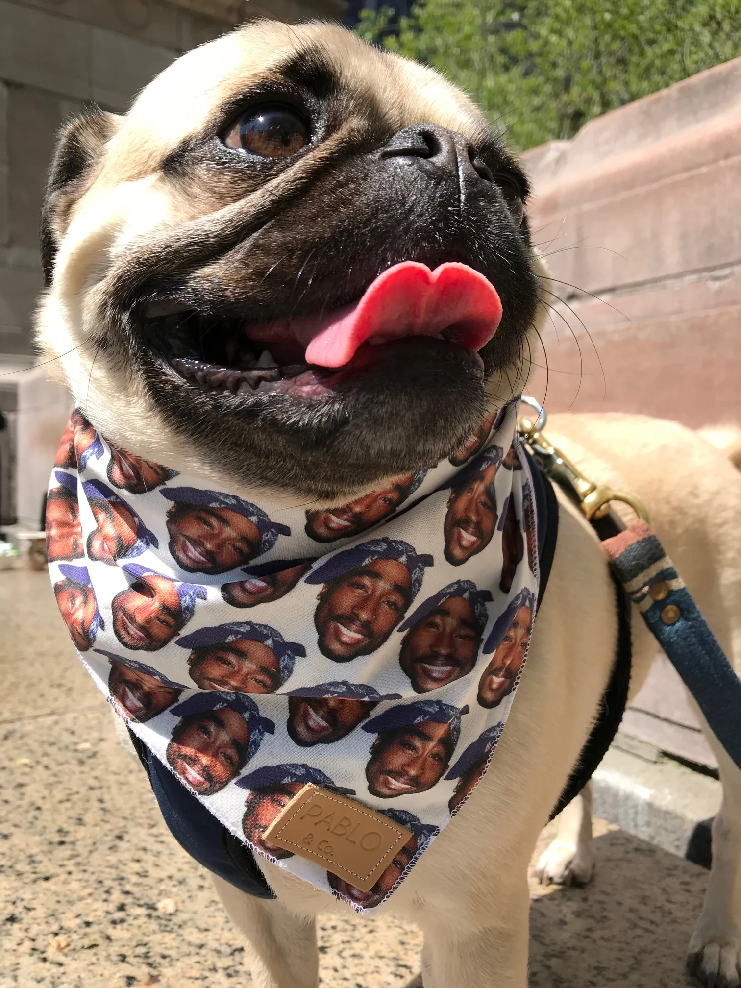 PABLO & CO. | Tupac Bandana - Image 2